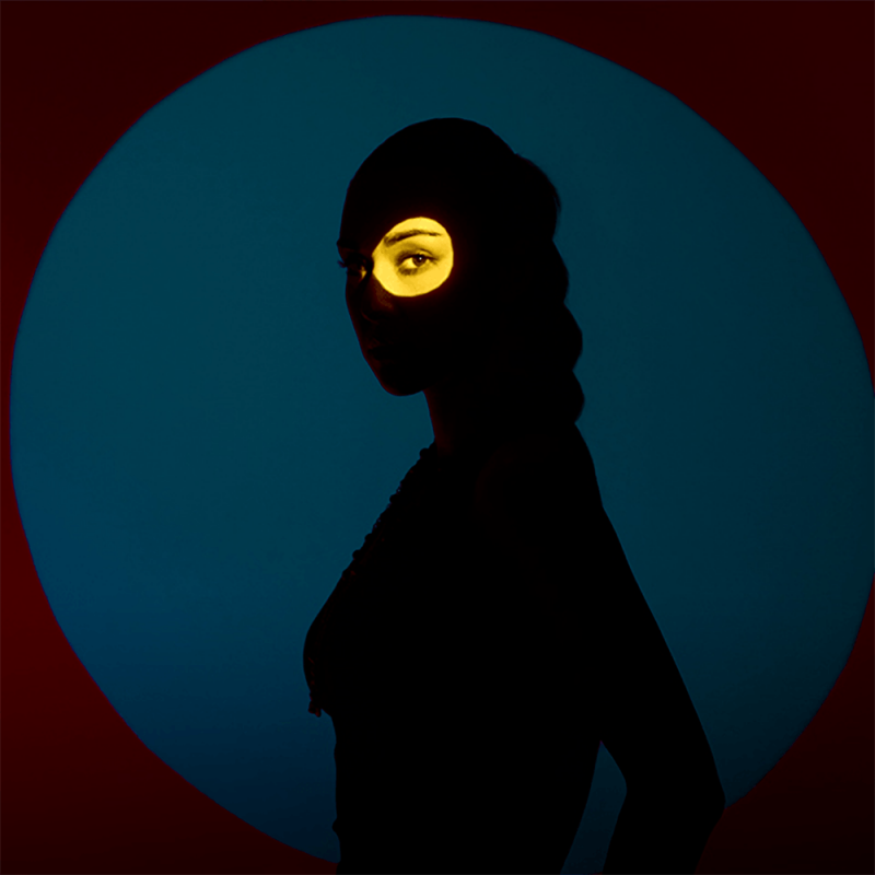 Godox BFP Fixation de Projection pour Flash à Monture Bowens