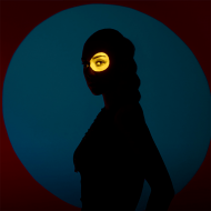 Godox BFP Fixation de Projection pour Flash à Monture Bowens