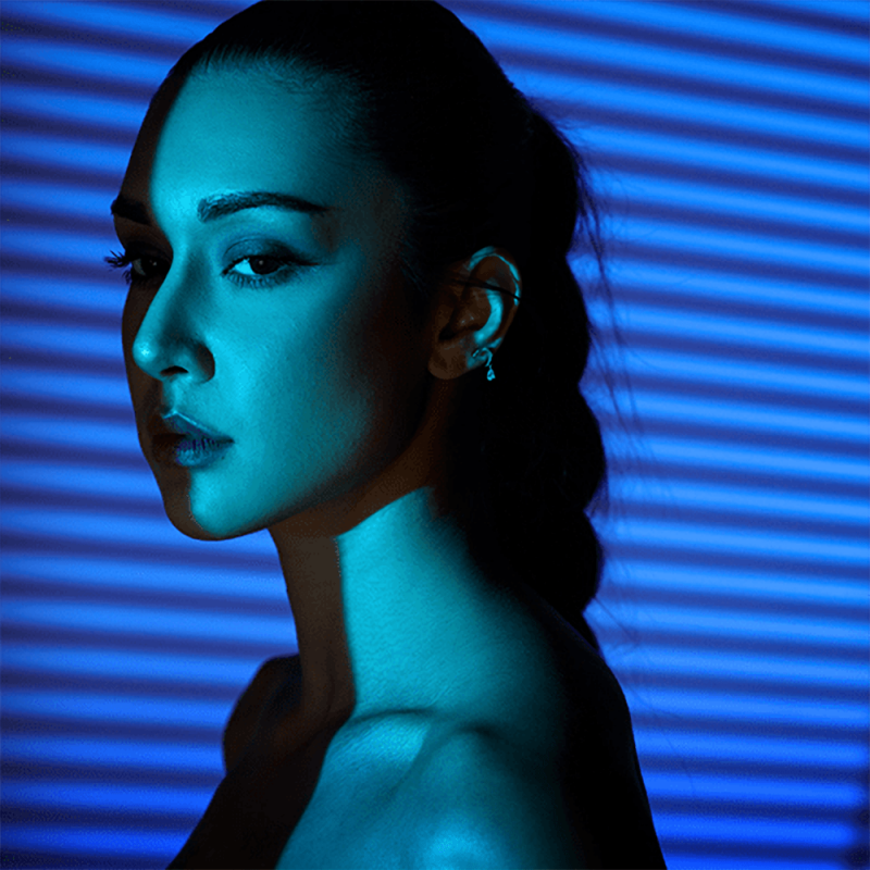 Godox BFP Fixation de Projection pour Flash à Monture Bowens