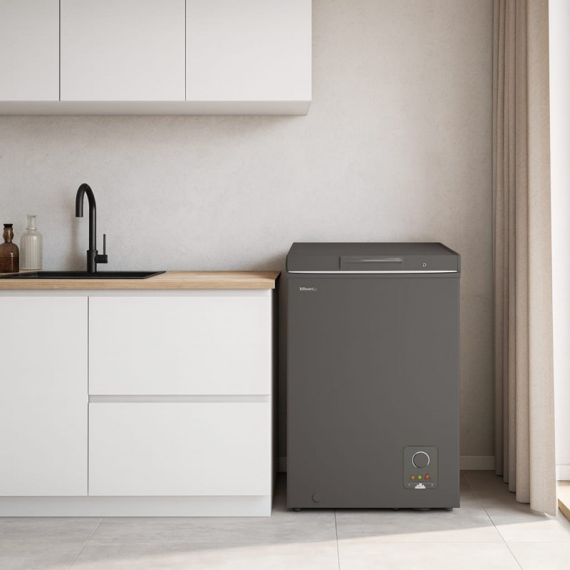 Hisense FC12DD congélateur horizontal 96 L gris – compact, économique et pratique