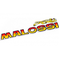 Malossi