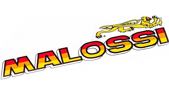 Malossi